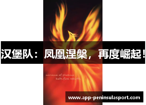 汉堡队：凤凰涅槃，再度崛起！