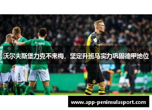 沃尔夫斯堡力克不来梅，坚定升班马实力巩固德甲地位
