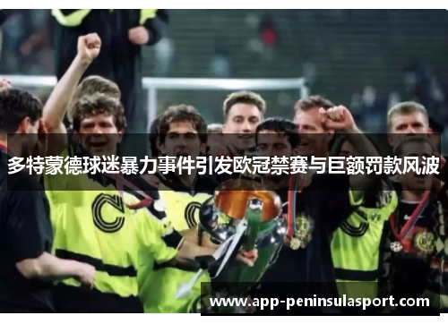 多特蒙德球迷暴力事件引发欧冠禁赛与巨额罚款风波